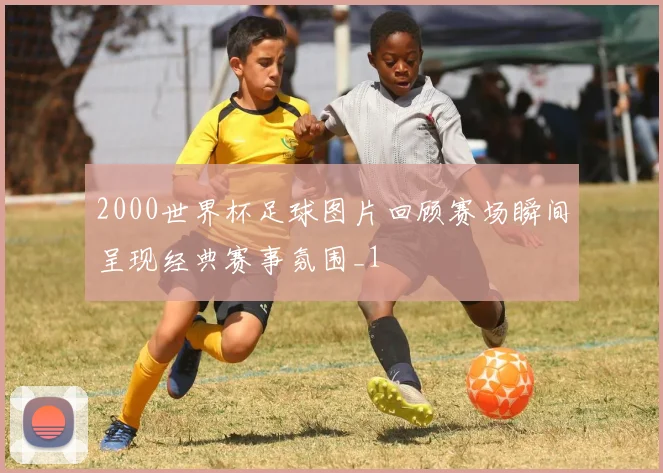 2000世界杯足球图片回顾赛场瞬间呈现经典赛事氛围_1